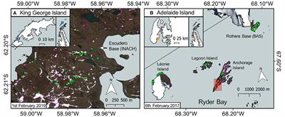 Frontiers | Remote Sensing Phenology of Antarctic Green and Red